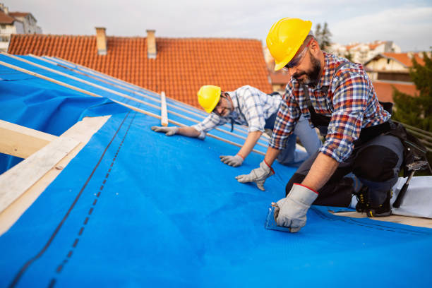 Trusted Fairview, NC Roofing Service Experts